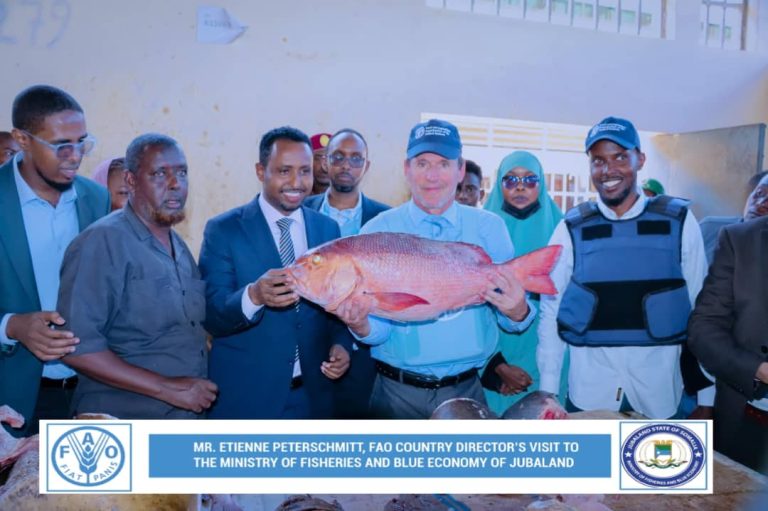 Minister of Fisheries Receives FAO Somalia Country Representative in Kismayo