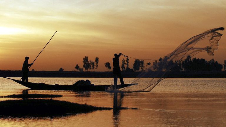 Dowload the Somalia Fisheries Law in the Link Below